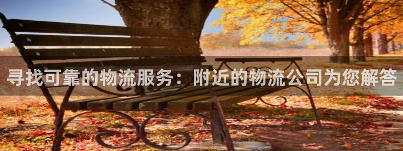 加拿大旺財28是什么：尋找可靠的物流服務：附近的物流公司為您